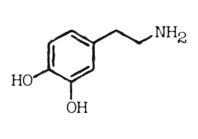 dopamin-hormon-neurotransmitter